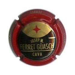 JOSEP M FERRET I GUASCH-V.1622--X.02631