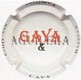 GAYA-V.1802-X.07621