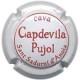 CAPDEVILA PUJOL--V.17092-X.38452
