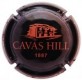 CAVAS HILL--V.19020-X.67744