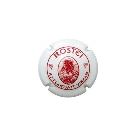 ROSTEI-V.2669-X.04034