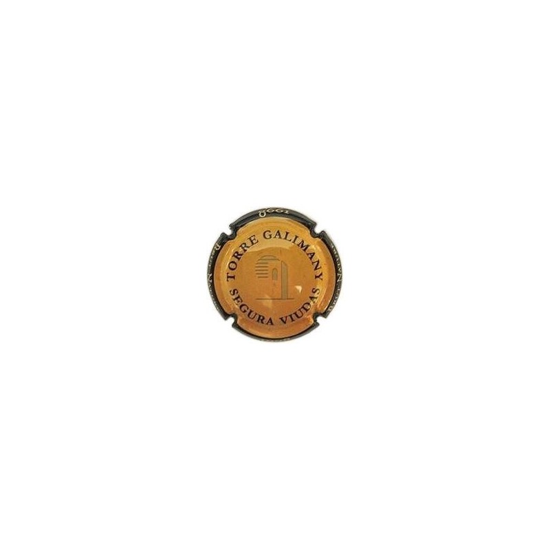 SEGURA VIUDAS-V.1670-X.01255