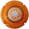 CAYTUSA--X.27792