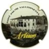 ARTIUM-V.6062--X.16842