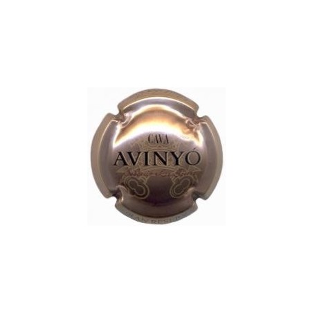 AVINYO-V.6075--X.12743