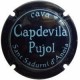 CAPDEVILA PUJOL-V.4251-X.01895