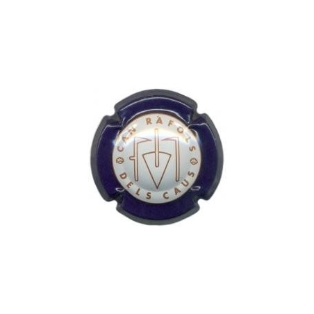 CAN RAFOLS DELS CAUS-V.0289-X.00324