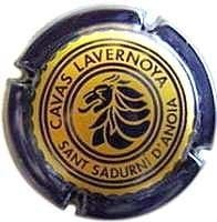 LAVERNOYA-V.6360--X.11423--BB.21 BLAU/GROC