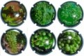 GIRO RIBOT--X.54693-8-9-701-4-6