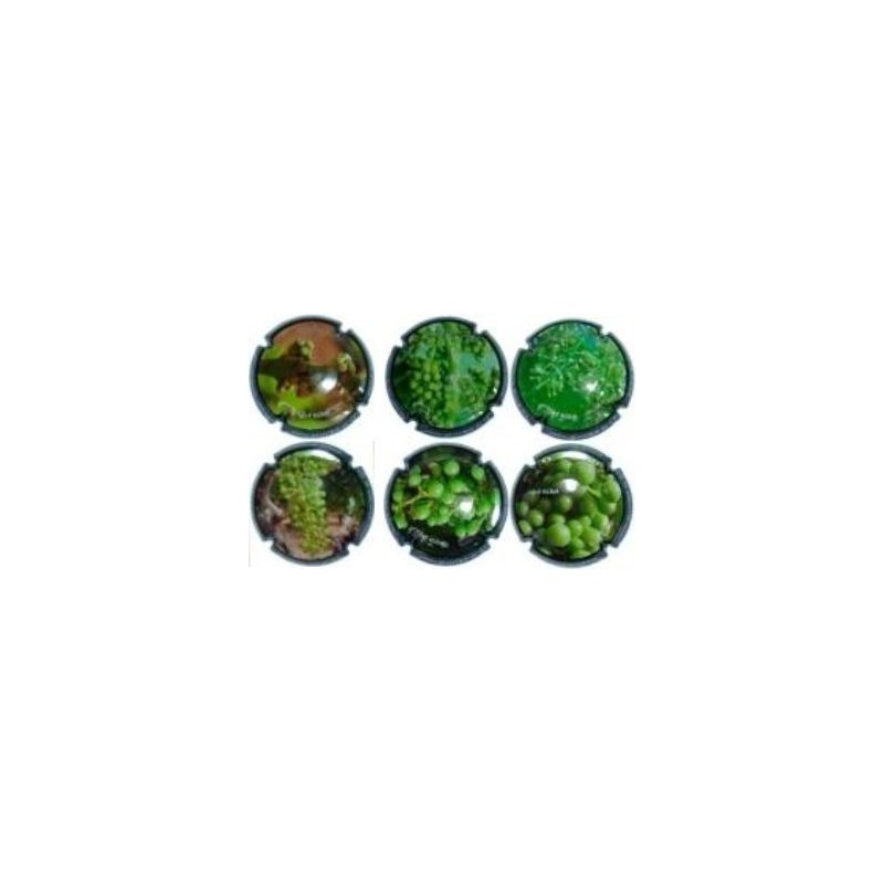 GIRO RIBOT--X.54693-8-9-701-4-6