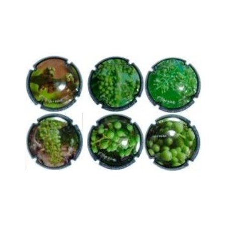 GIRO RIBOT--X.54693-8-9-701-4-6