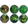 GIRO RIBOT--X.54693-8-9-701-4-6