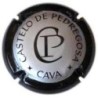 CASTELO DE PEDREGOSA-V.4813-X.03778