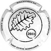 Sant Esteve Sesrovires-X.3007149