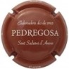 CASTELO DE PEDREGOSA-X.ECSG130348