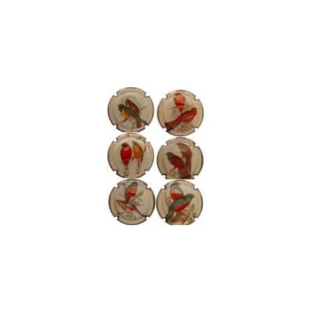 MERVILLA--X.114182    OCELLS 1