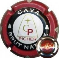 PICHER-X.019852