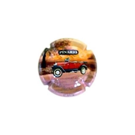 PINARIO-X.53698