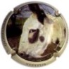 XEPITUS-V.11114-X.18999