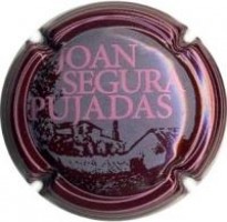JOAN SEGURA PUJADES-V.21641-X.81409