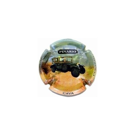 PINARIO X.53644 - V.15328
