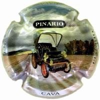 PINARIO V.15331 - X.53699