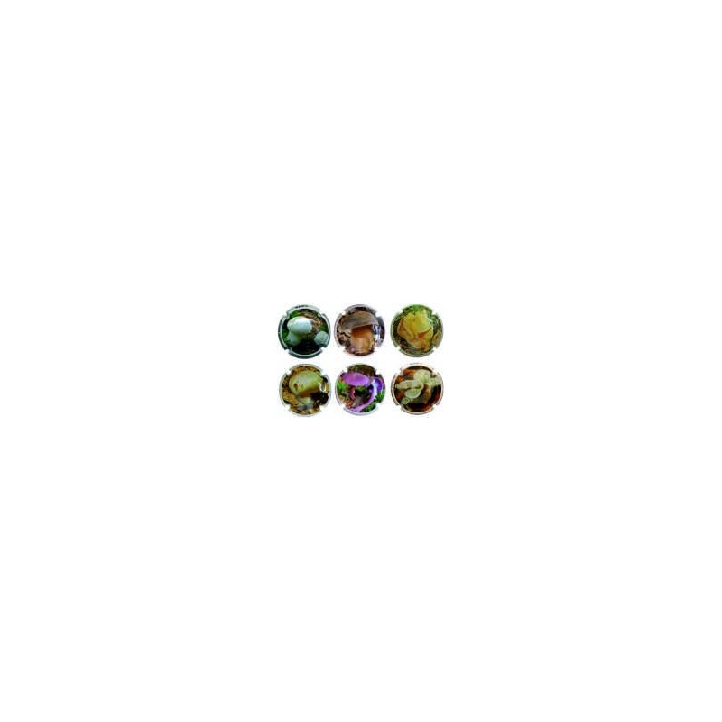 ALIRON´S - BOLETS COL.1