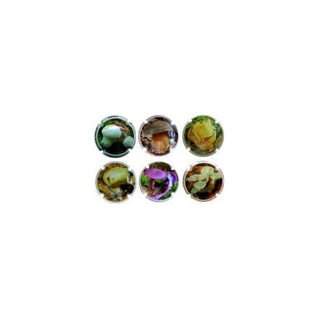 ALIRON´S - BOLETS COL.1