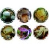 ALIRON´S - BOLETS COL.1