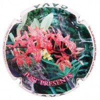 JUST PRESENTS--X.122614