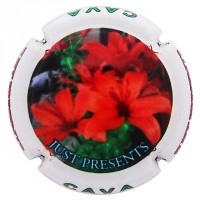 JUST PRESENTS--X.128624