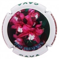 JUST PRESENT--X.128623