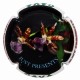 JUST PRESENT--X.128625