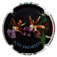 JUST PRESENT--X.128625