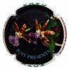 JUST PRESENT--X.128625