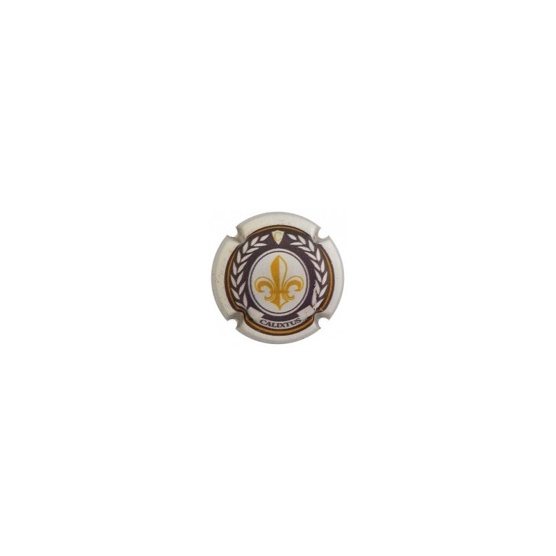 CALIXTUS-X.159419