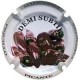 DEMI SUBTIL--X.100098