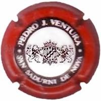 PEDRO J.VENTURA-V.0604--X.13421 (ESCUT GROS)