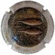 MESTRES---X.104202--V.30270 (LLETRES JUNTES)