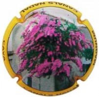 CANALS NADAL---X.59584--V.24574