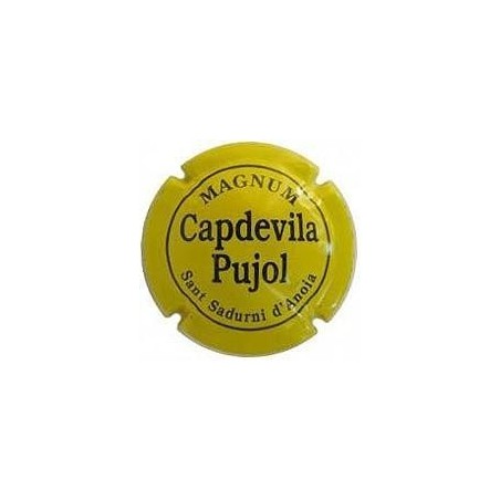 CAPDEVILA PUJOL--V.11238-X.19356