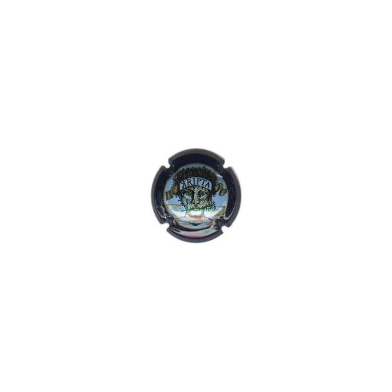 KRIPTA-V.0510a--X.00861  FOSCA