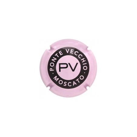 PONTE VECCHINO---X.135704