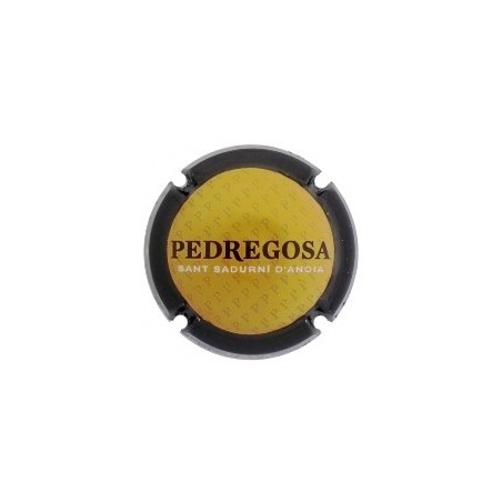 CASTELO DE PEDREGOSA--X.169337