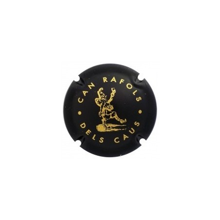 CAN RAFOLS DELS CAUS--X.184069