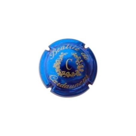 BEATRIZ DE CARDAUNEUR--X.51422 (BLAU CLAR)