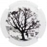 CELLER GRAPISSO--X.180673