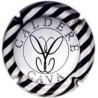 CALDERE--X.28663--V.8565ET