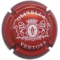 OLIVELLA VENTOSA-V.1836--X.00142