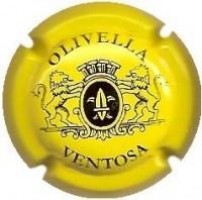 OLIVELLA VENTOSA-V.5551--X.12350